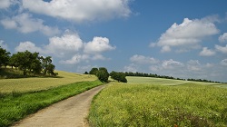 przyroda niemiecki